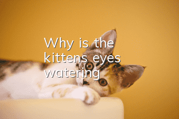 Why is the kitten's eyes watering?