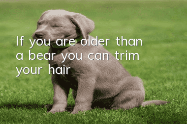 If you are older than a bear, you can trim your hair