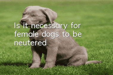 Is it necessary for female dogs to be neutered?