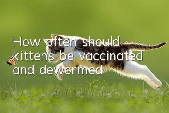 How often should kittens be vaccinated and dewormed?