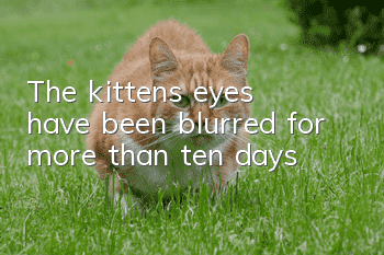 The kitten's eyes have been blurred for more than ten days
