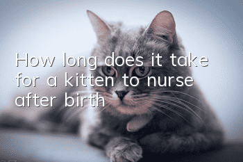 How long does it take for a kitten to nurse after birth?