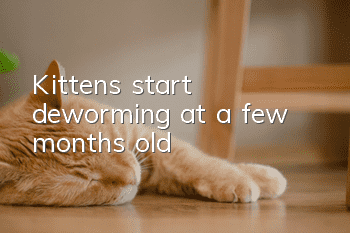 Kittens start deworming at a few months old