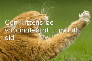 Can kittens be vaccinated at 1 month old?
