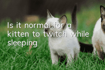Is it normal for a kitten to twitch while sleeping?