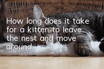 How long does it take for a kitten to leave the nest and move around?