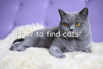 How to find cats