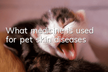 What medicine is used for pet skin diseases?