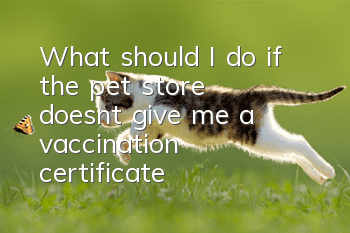 What should I do if the pet store doesn’t give me a vaccination certificate?