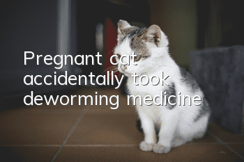 Pregnant cat accidentally took deworming medicine