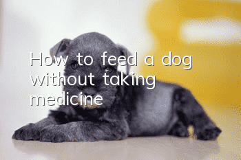 How to feed a dog without taking medicine?
