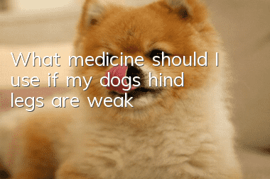 What medicine should I use if my dog’s hind legs are weak?