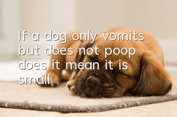 If a dog only vomits but does not poop, does it mean it is small?