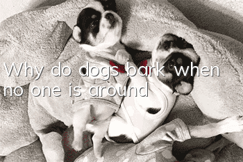 Why do dogs bark when no one is around?