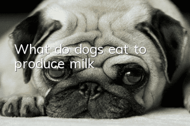 What do dogs eat to produce milk?