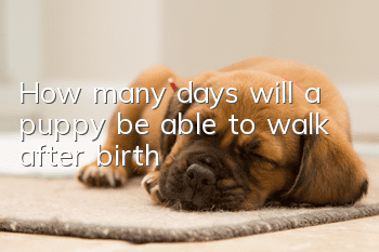 How many days will a puppy be able to walk after birth?