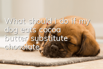 What should I do if my dog eats cocoa butter substitute chocolate?