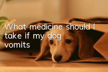 What medicine should I take if my dog vomits?