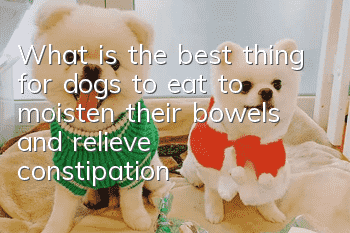 What is the best thing for dogs to eat to moisten their bowels and relieve constipation?