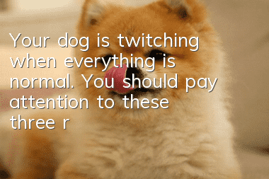 Your dog is twitching when everything is normal. You should pay attention to these three reasons!