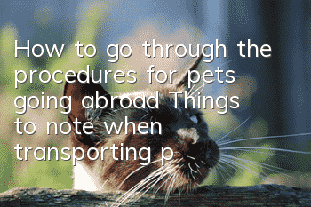 How to go through the procedures for pets going abroad? Things to note when transporting pets abroad!