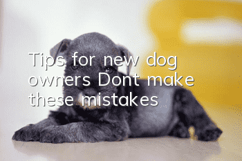 Tips for new dog owners: Don’t make these mistakes