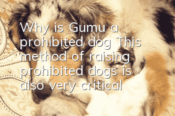 Why is Gumu a prohibited dog? This method of raising prohibited dogs is also very critical!
