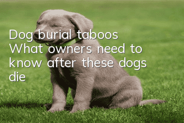 Dog burial taboos: What owners need to know after these dogs die!