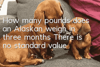 How many pounds does an Alaskan weigh in three months? There is no standard value!