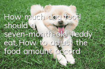 How much dog food should a seven-month-old Teddy eat? How to adjust the food amount according to the dog’s needs?