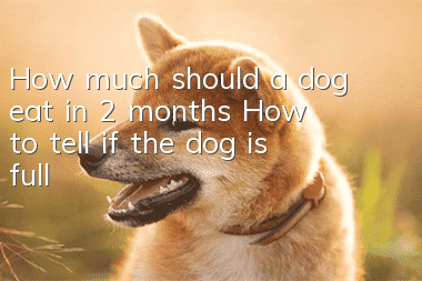 How much should a dog eat in 2 months? How to tell if the dog is full?