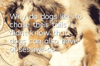 Why do dogs like to chase their tails? I didn’t know that dogs can also have obsessive-compulsive disorder!