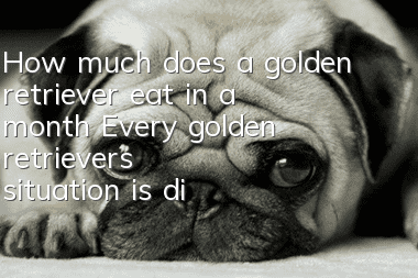 How much does a golden retriever eat in a month? Every golden retriever’s situation is different!