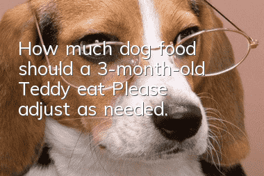 How much dog food should a 3-month-old Teddy eat? Please adjust as needed.
