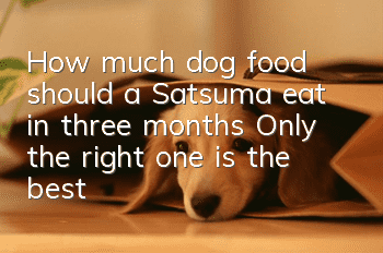 How much dog food should a Satsuma eat in three months? Only the right one is the best!