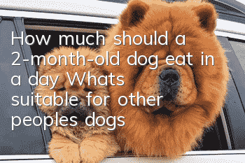 How much should a 2-month-old dog eat in a day? What’s suitable for other people’s dogs may not be suitable for yours.