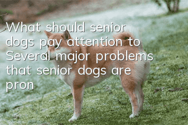 What should senior dogs pay attention to? Several major problems that senior dogs are prone to have