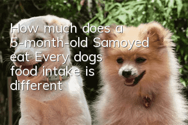 How much does a 5-month-old Samoyed eat? Every dog’s food intake is different!