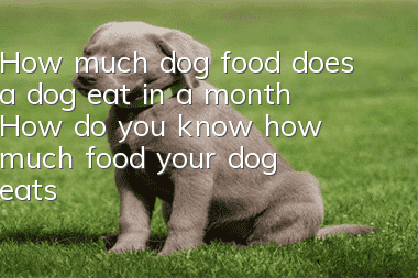 How much dog food does a dog eat in a month? How do you know how much food your dog eats?