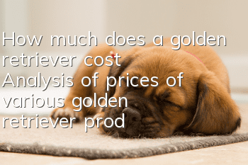 How much does a golden retriever cost? Analysis of prices of various golden retriever products