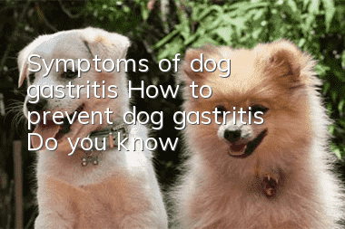 Symptoms of dog gastritis How to prevent dog gastritis Do you know