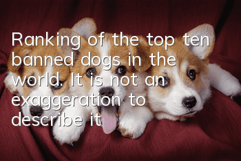 Ranking of the top ten banned dogs in the world. It is not an exaggeration to describe it as a ferocious beast.