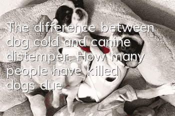 The difference between dog cold and canine distemper. How many people have killed dogs due to misjudgment?