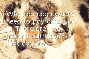 What do dog owners need to pay attention to? There are two major health issues that dog owners should pay attention to.