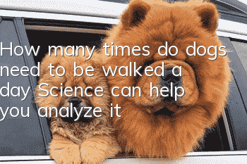 How many times do dogs need to be walked a day? Science can help you analyze it!