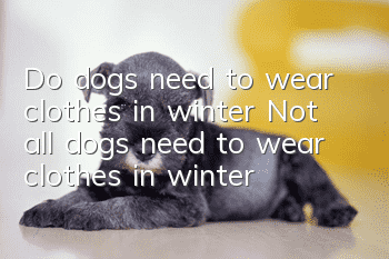 Do dogs need to wear clothes in winter? Not all dogs need to wear clothes in winter