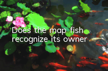 Does the map fish recognize its owner?