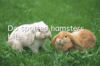 Do spotted hamsters bite?