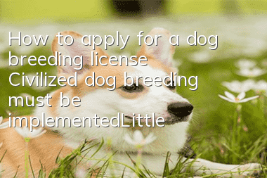How to apply for a dog breeding license? Civilized dog breeding must be implemented_Little Cute Pet Network