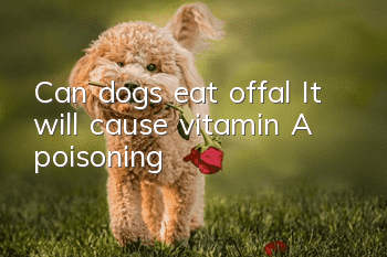 Can dogs eat offal? It will cause vitamin A poisoning!